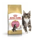 Сухой корм Royal Canin для котят породы Мейнкун с 4 до 12 месяцев Breed MaineCoon Kitten 4 кг BGL-RC-442 - изображение 1