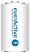Аккумулятор everActive D/HR20 10000mAh BL 2шт - изображение 3