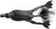 Воблер Savage Gear 3D Hollow Duckling weedless L 100 мм 40 г 05-Black (18540534) - изображение 1