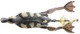 Воблер Savage Gear 3D Hollow Duckling weedless S 75 мм 15 г 01-Natural (18540535) - изображение 1