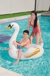 Надувной плот Bestway Лебедь 122x122 см (41123) - изображение 9