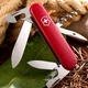 Нож Victorinox Tourist Red 0.3603 - изображение 11