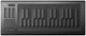 MIDI-клавиатура ROLI Seaboard RISE25 - изображение 1