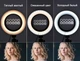 Набор блогера 4в1 Кольцевая лампа Fill Lights 26 см с держателем телефона с 2 штативами напольный 2м+настольный 0,2м и Bluetooth пульт - изображение 9