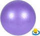 Мяч для фитнеса Newt 65 см Фиолетовый (487-626-1-V) - изображение 1