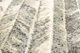 Ковер Karat Polly 30006/310 0.80x1.50 м прямоугольный бирюзовый-бежевый - изображение 5