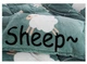Плюшевое постельное белье микрофибра Homytex Евро размер Sheep - изображение 5