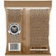 Струны для акустической гитары Ernie Ball 2151 Earthwood Phosphor Bronze 10/52 - изображение 2