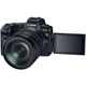 Цифровой фотоаппарат Canon EOS R RF 24-105L kit + адаптер EF-RF (3075C060) - изображение 5