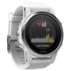 Смарт-годинник Garmin Fenix 5s White with White Carrara Band (010-01685-00) - зображення 2