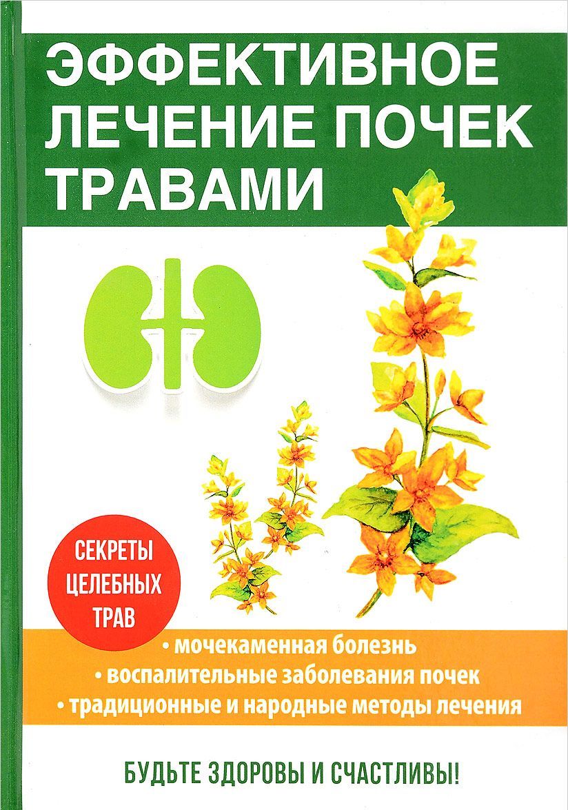 

Эффективное лечение почек травами