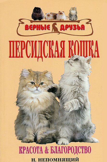 

Персидская кошка. Красота и благородство