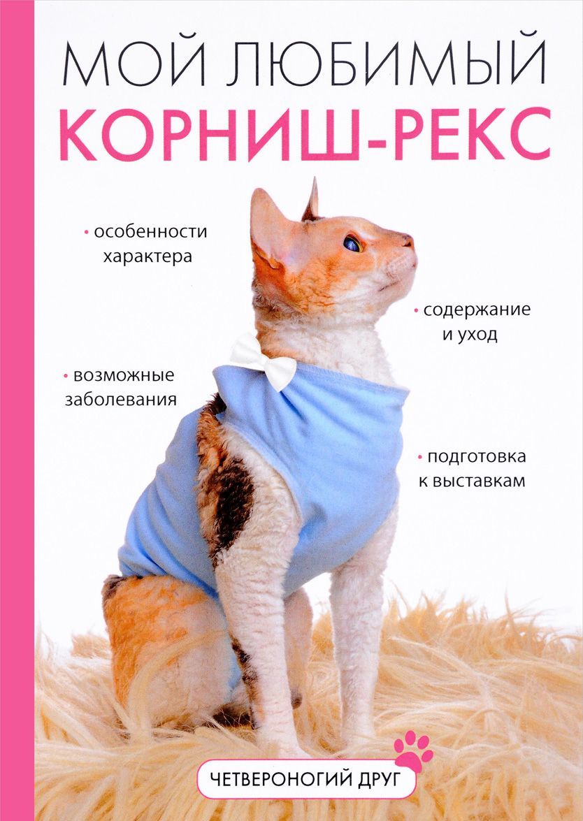 

Мой любимый корниш-рекс