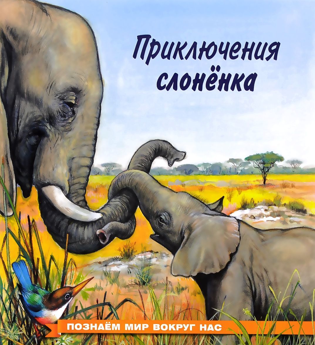 

Приключения слоненка