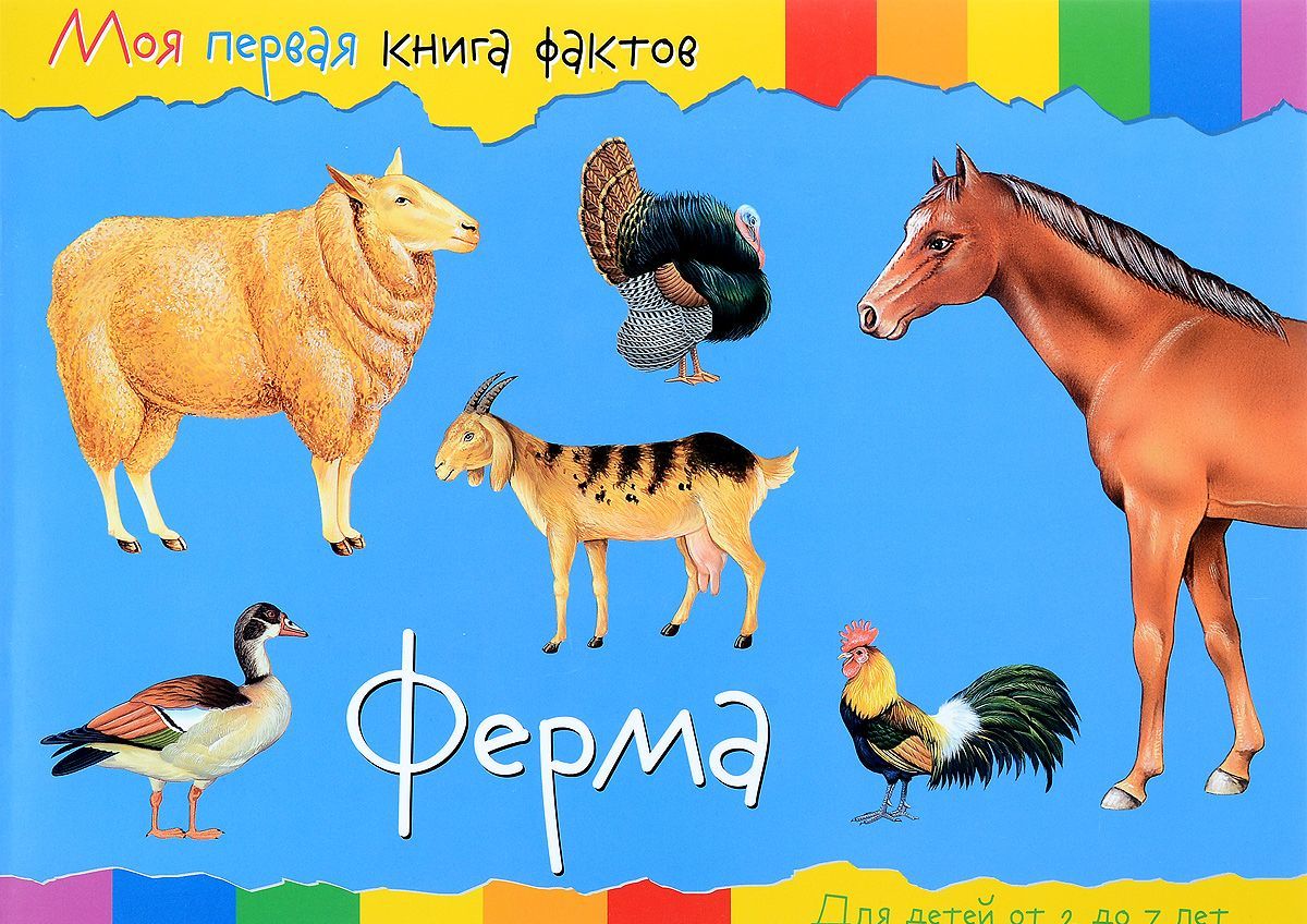 

Ферма