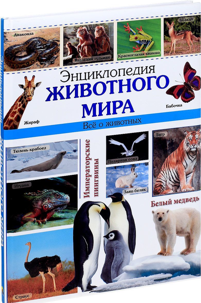 

Энциклопедия животного мира. Все о животных
