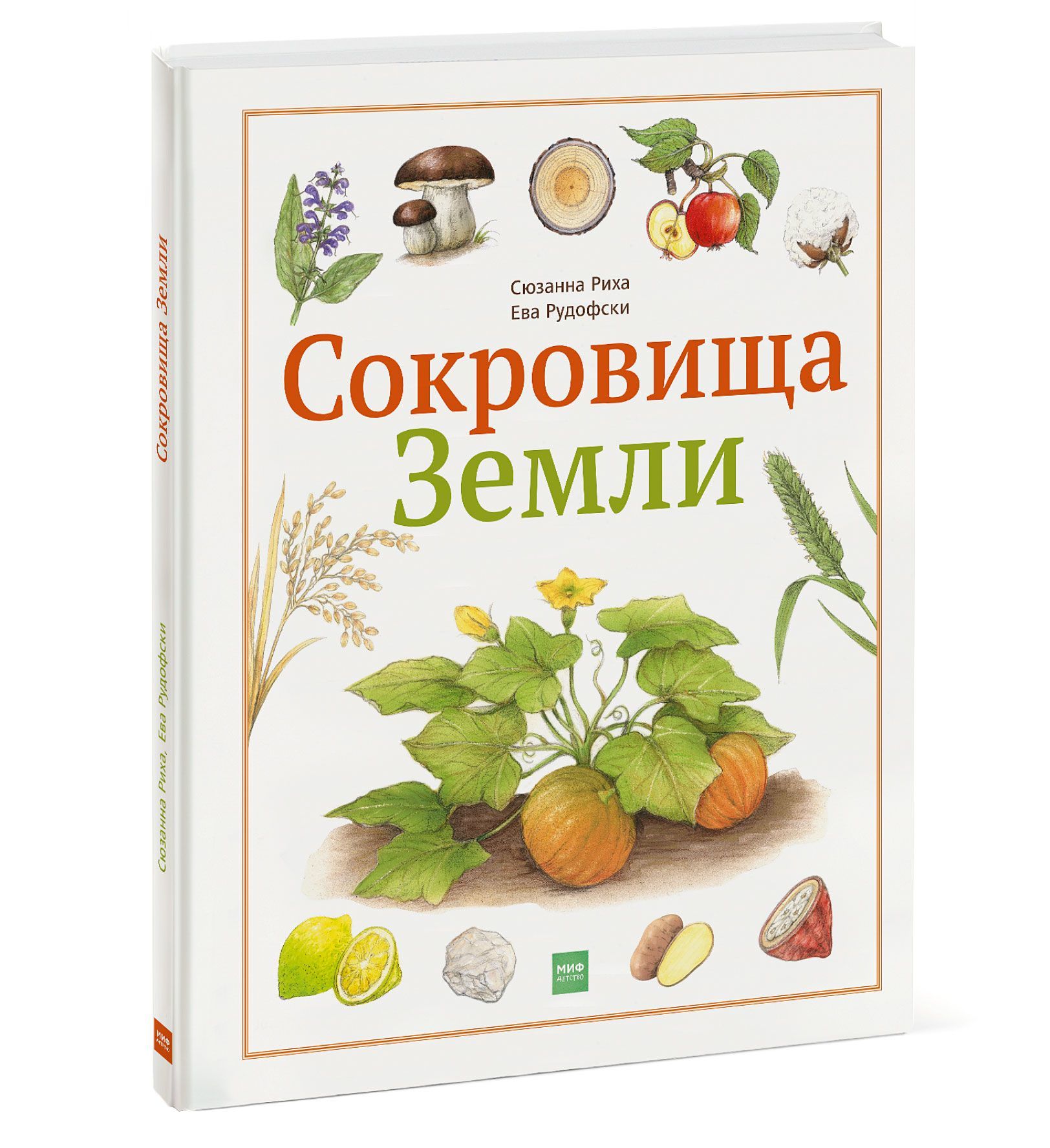 

Сокровища Земли