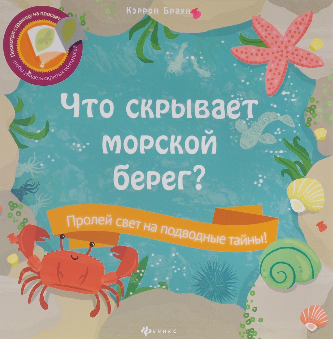 

Что скрывает морской берег (1229003)