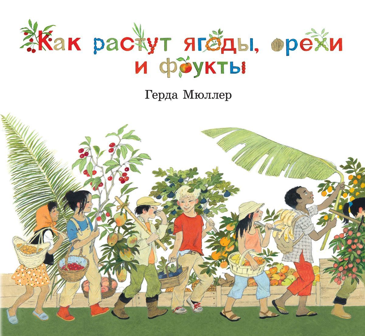 

Как растут ягоды, орехи и фрукты (иллюстрации Герды Мюллер)
