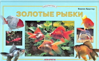 

Золотые рыбки (12758220)