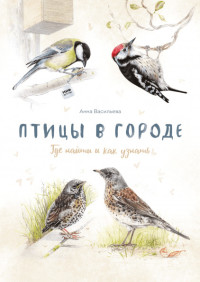 

Птицы в городе. Где найти и как узнать (18263417)