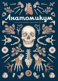 

Анатомикум. Энциклопедия для детей (18265166)