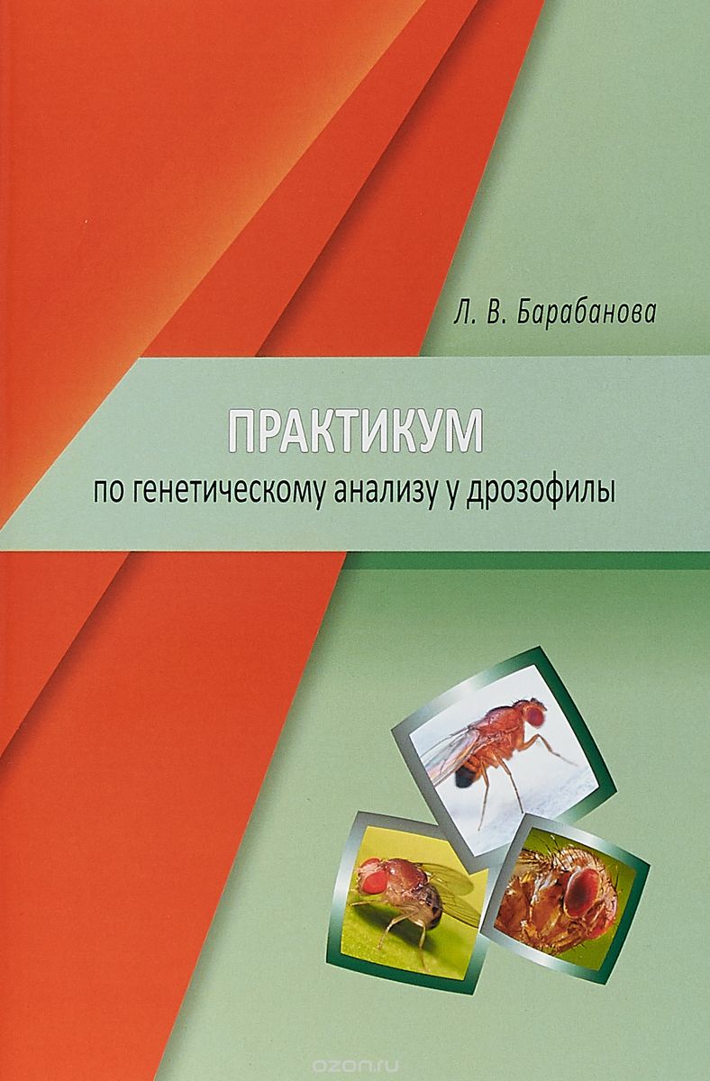 

Практикум по генетическому анализу у дрозофилы. Учебно-методическое пособие