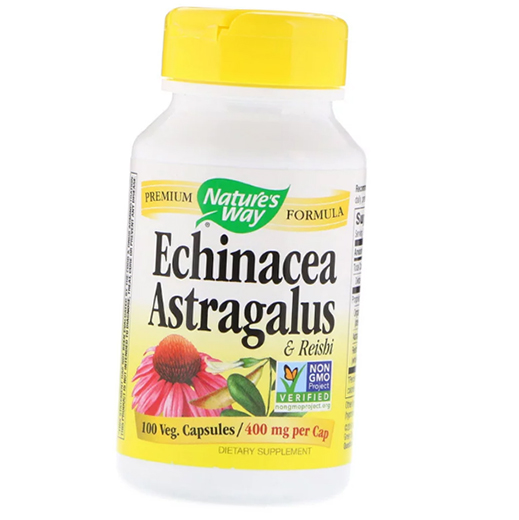 

Echinacea Astragalus & Reishi Nature's Way 100вегкапс (71344064)