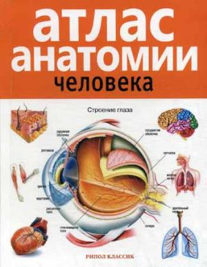 

Атлас анатомии человека