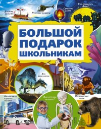 

Большой подарок школьникам (18274069)