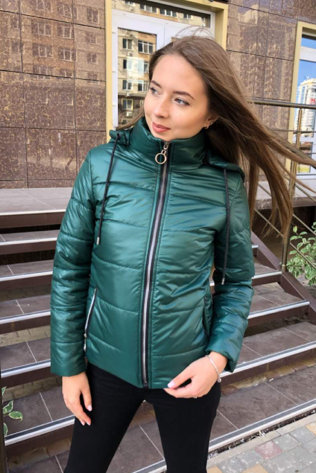 

Куртка утепленная NB20041 р42 бутылка