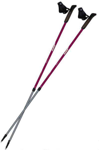 

Палки для скандинавской ходьбы Tramp Fitness Alu 6061 Красные TRR-011