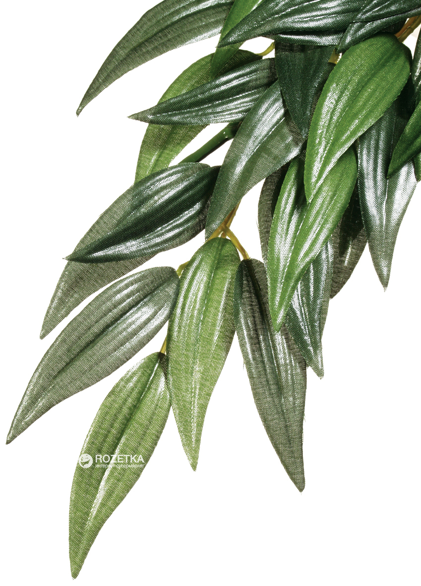 

Растение Hagen Rucus Large (015561230513)