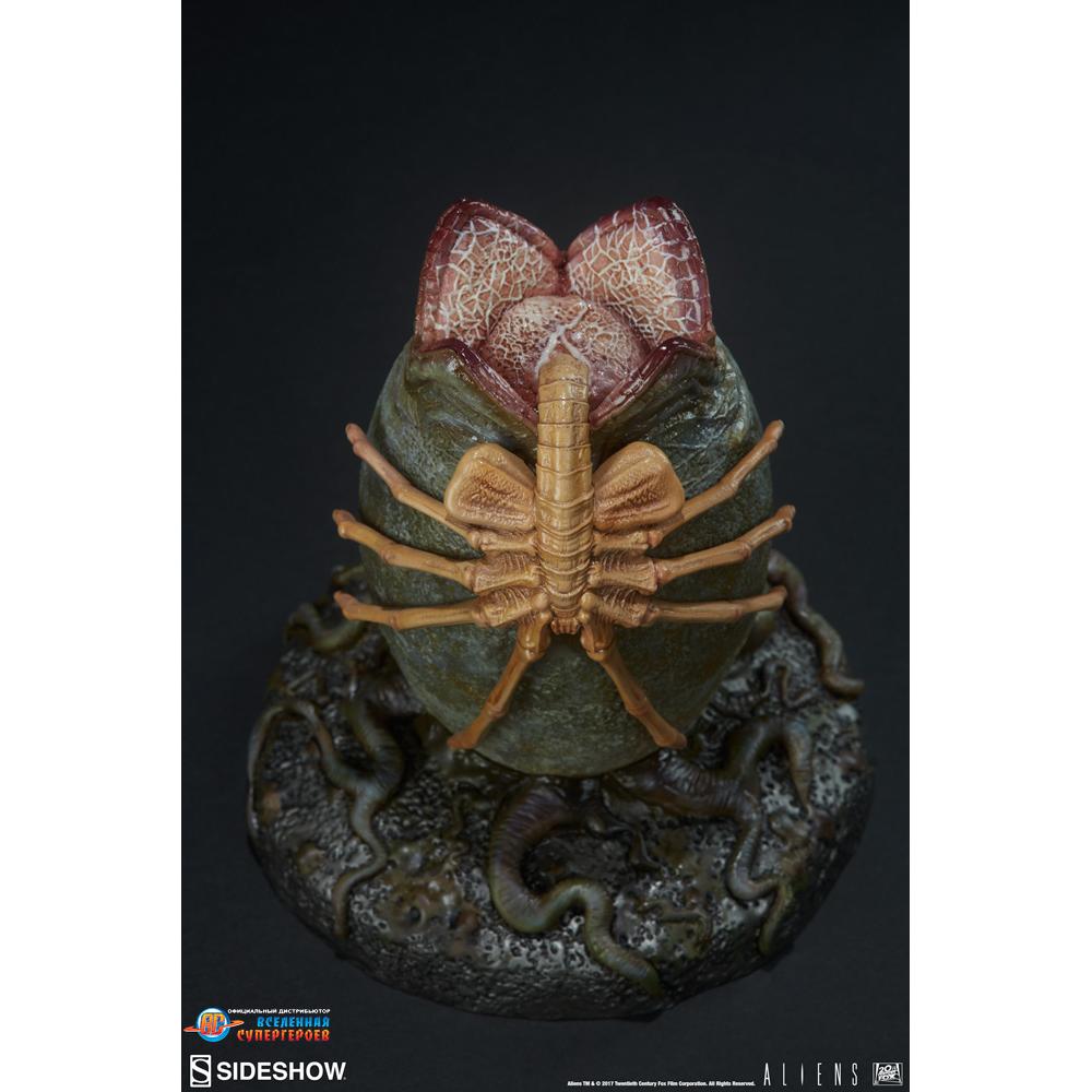 Коллекционная статуэтка Яйцо Чужого от Sideshow Collectibles Alien Egg  statue Ovomorph Statue – фото, отзывы, характеристики в интернет-магазине  ROZETKA от продавца: Eraopt | Купить в Украине: Киеве, Харькове, Днепре,  Одессе, Запорожье, Львове