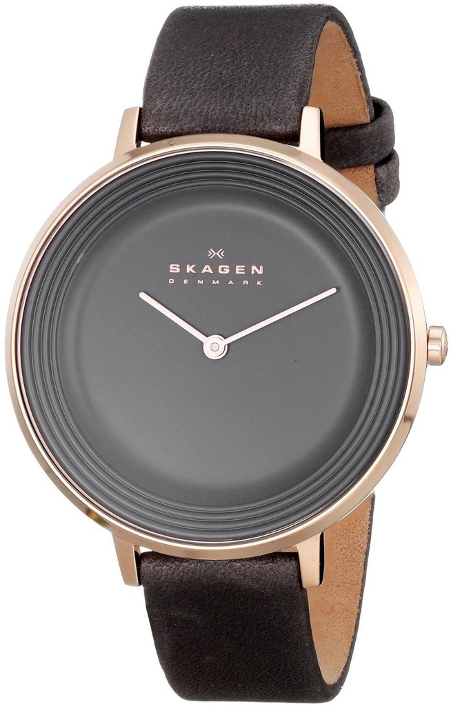 

Женские часы Skagen SKW2216