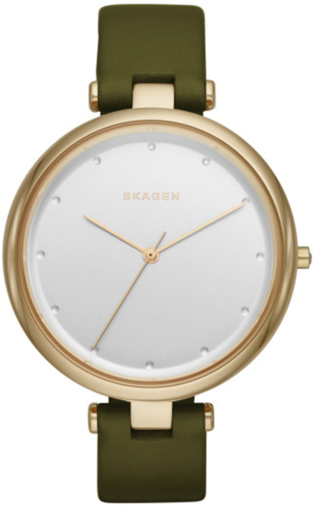 

Женские часы Skagen SKW2483