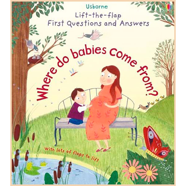

Usborne Lift-the-Flap First Questions and Answers Where Do Babies Come From. Katie Daynes. ISBN:9781409598824