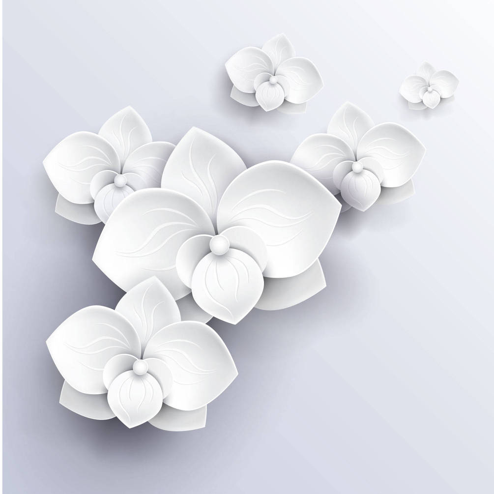 

Фотообои Арт-Обои Белые цветы на голубом фоне №20905 Фреска