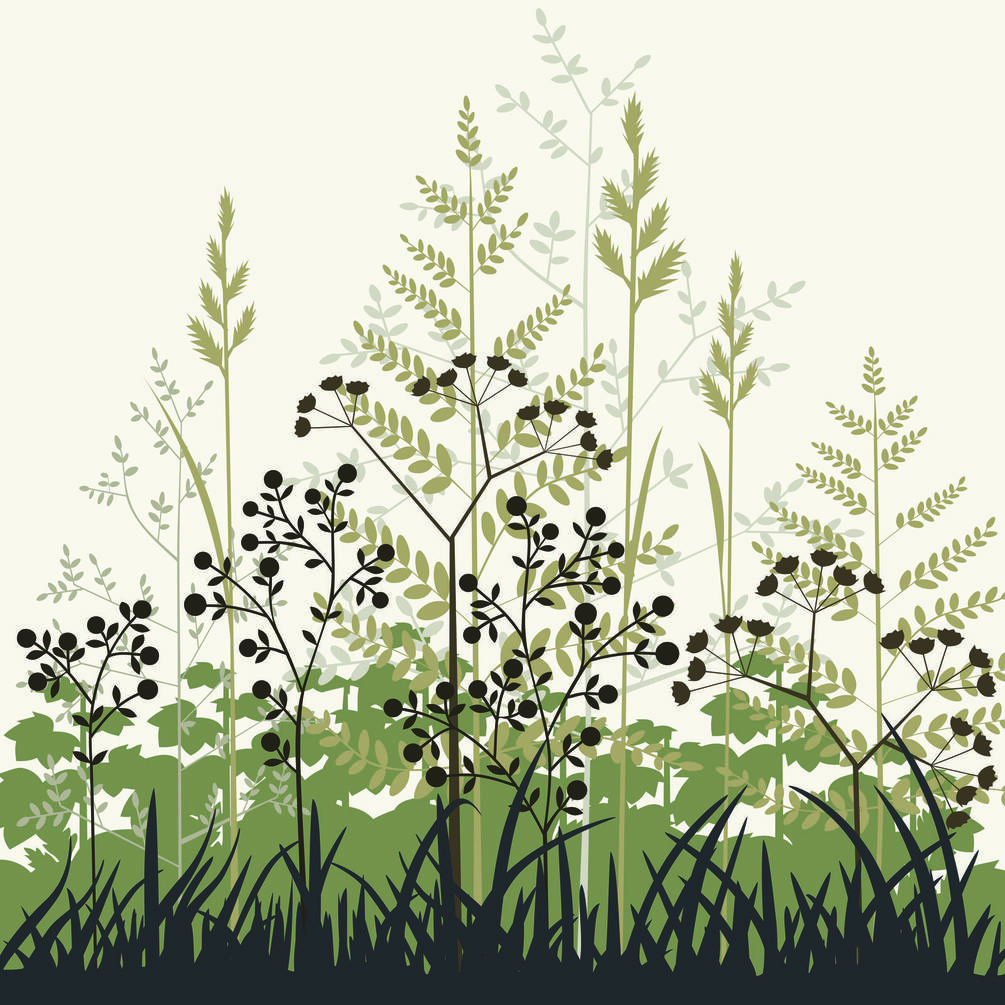 Стилизованные травы и цветы