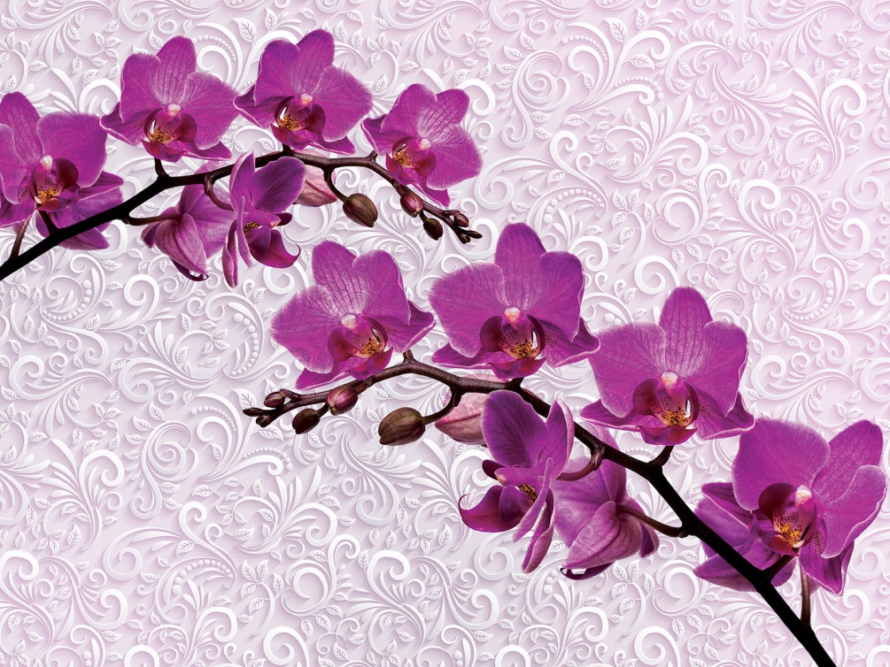 

Фотообои Арт-Обои Розовые орхидеи №27314 Аква
