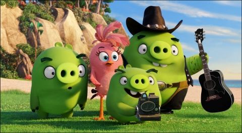 

Фотообои Арт-Обои Angry birds №26190 Лоск