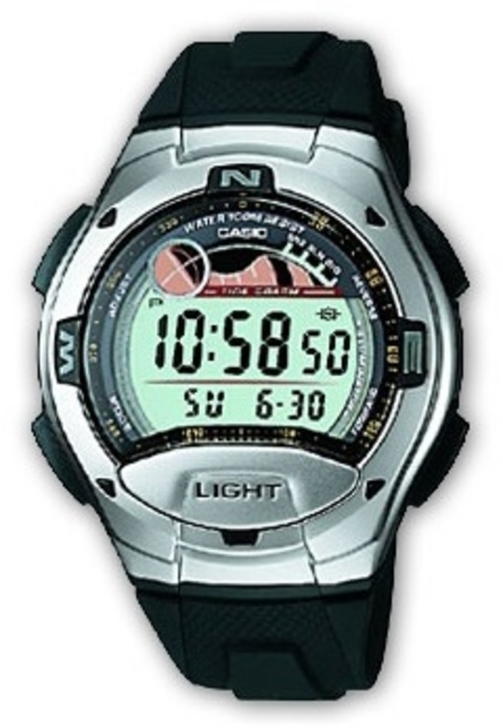 

Часы CASIO W-753-1AVEF