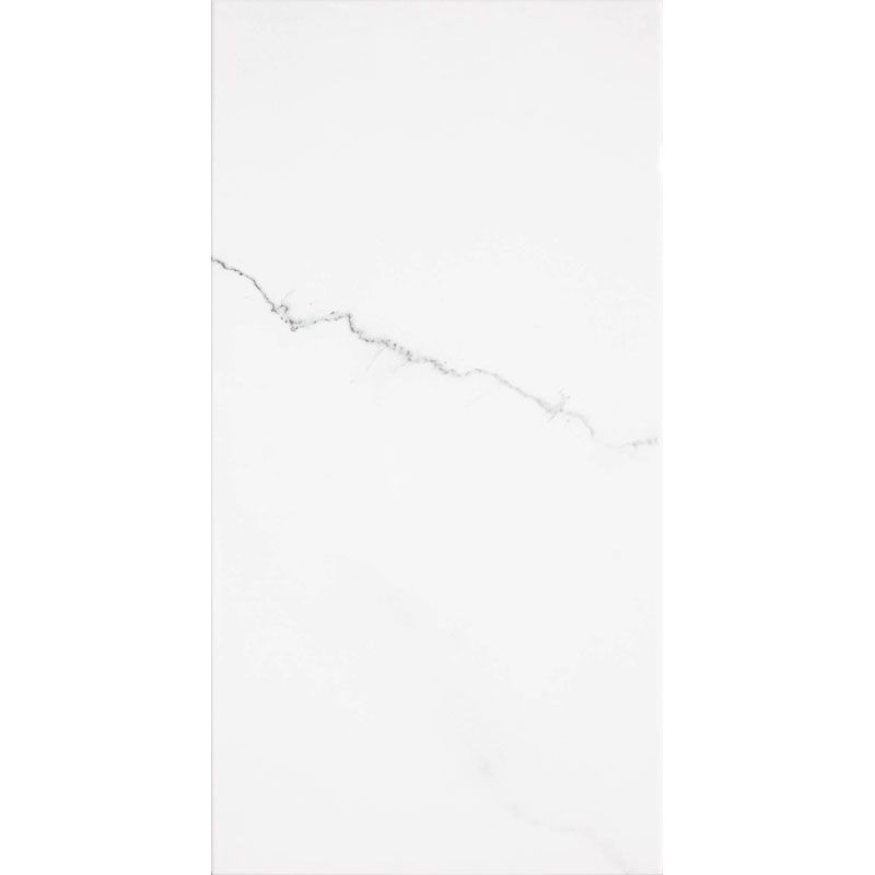 

Кафель Saloni Corinto Blanco Белый 310x600 мм (113601)