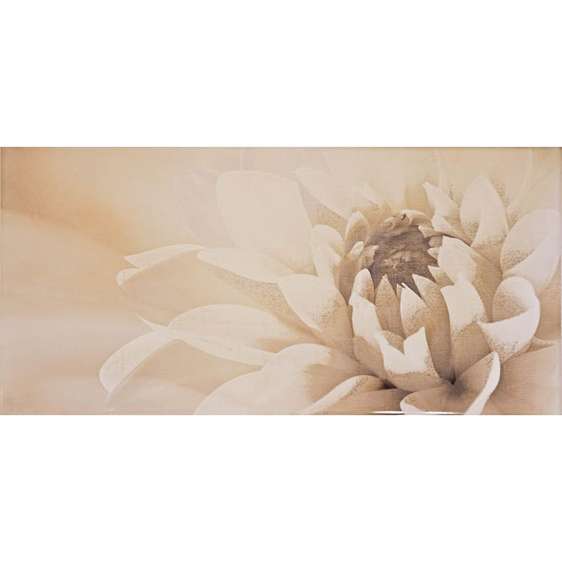 

Декор Ceramica Latina Irina Marengo бежевый 250x500 (840809)