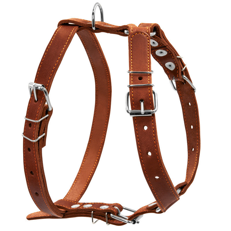 

Шлея одинарная CoLLaR кожа коричневый для средних собак 06386 (4820152563156)