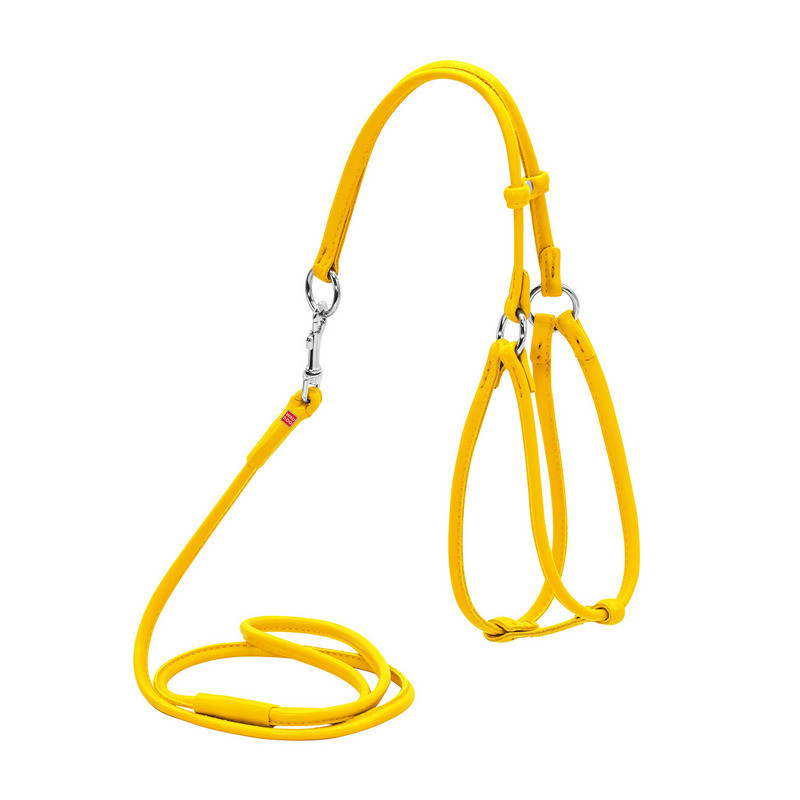 

Шлея круглая WAUDOG Glamour кожа желтый с поводком для кошек и мелких собак 34028 (2034028000009)