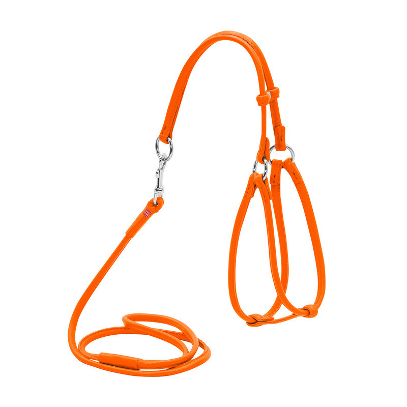

Шлея круглая WAUDOG Glamour кожа оранжевый с поводком для кошек и мелких собак 34014 (4820152565976)