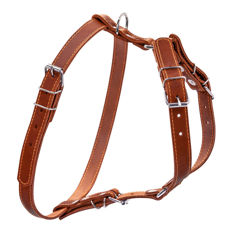 

Шлея одинарная CoLLaR кожа коричневый для мелких и средних собак 06366 (4820152563132)