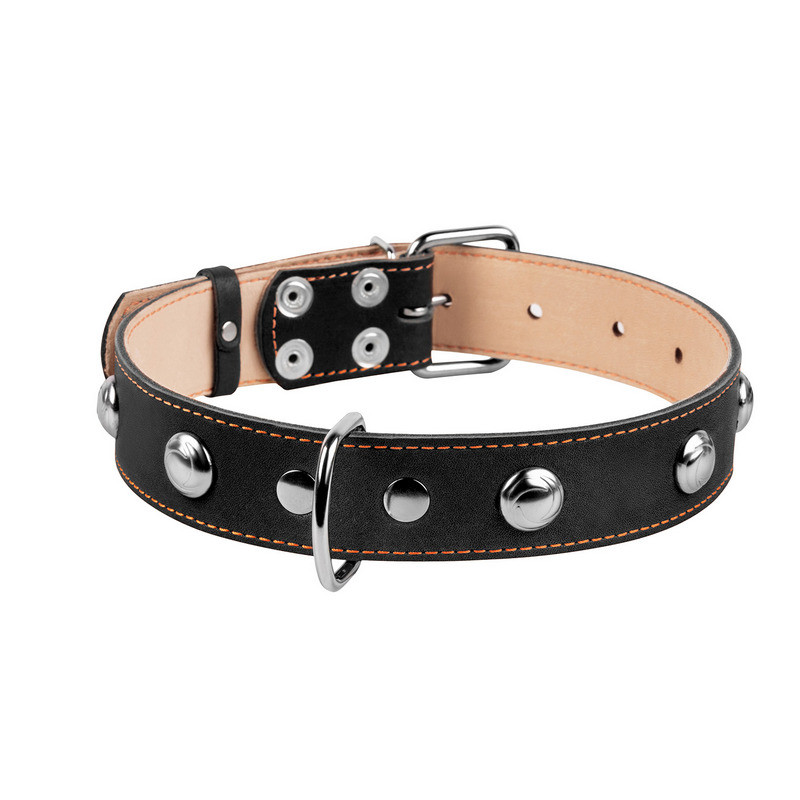 

Ошейник двойной CoLLaR кожа черный с украшением 02811 (4820082491994)
