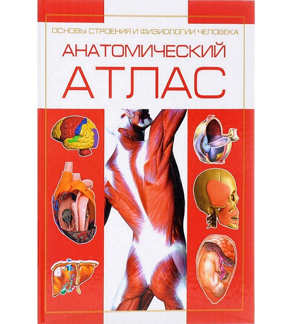 

Анатомический атлас. Основы строения и физиологии человека (978-985-16-1560-5)